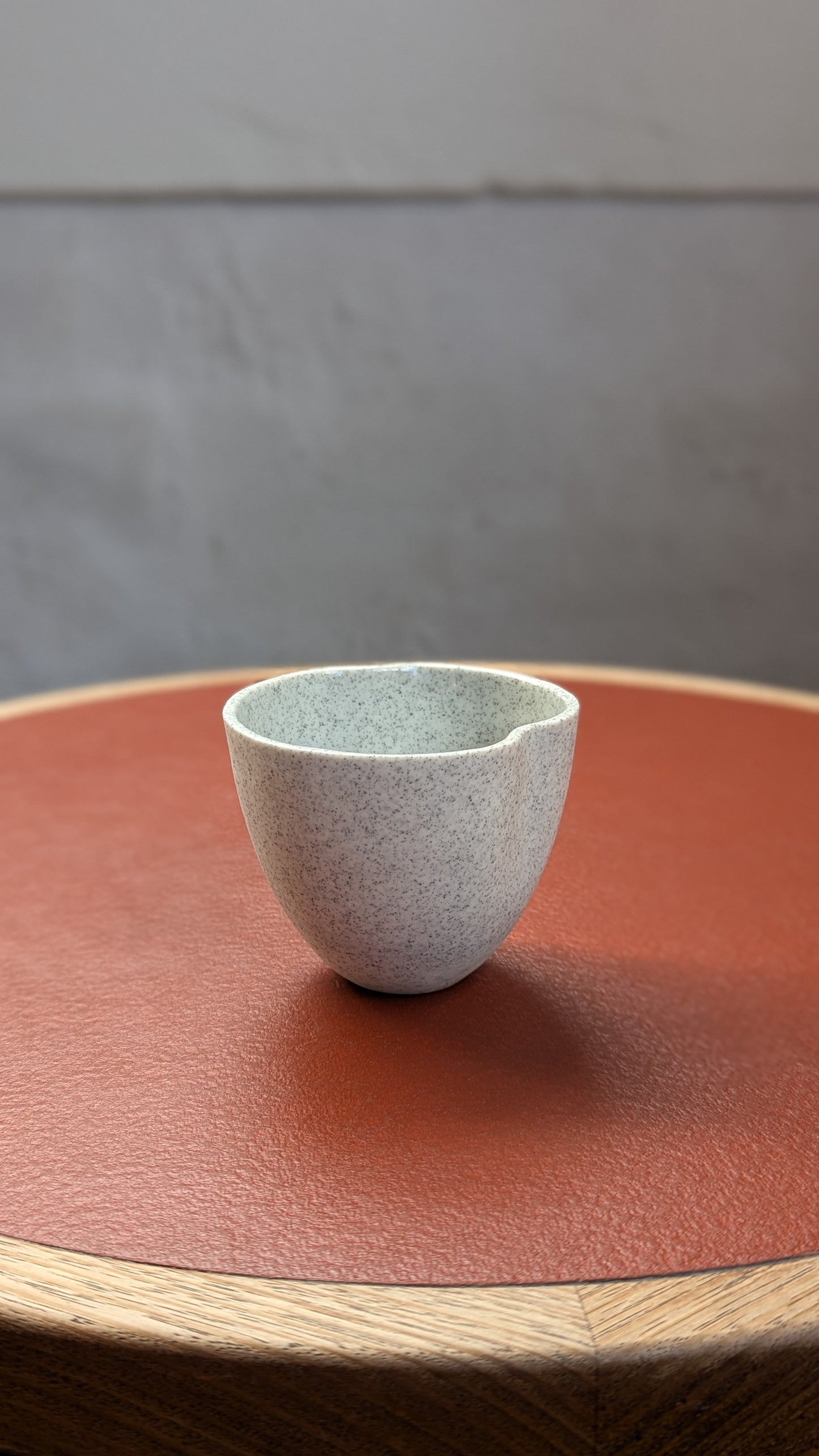 Pebble Coffee Tumbler