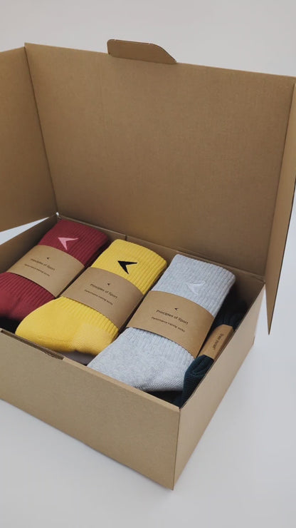 Principles of Sport sock boxset 10 pack